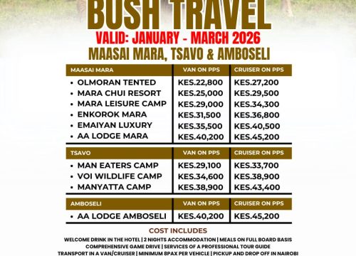 BUSH TRAVEL: Wild Safaris to Maasai Mara, Tsavo & Amboseli!