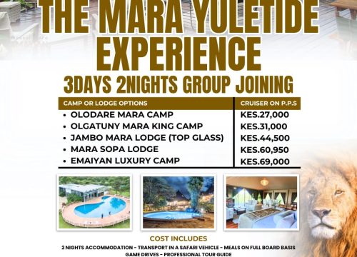 THE MARA YULETIDE EXPERIENCE: 3 Days of Festive Wildlife Wonder!
