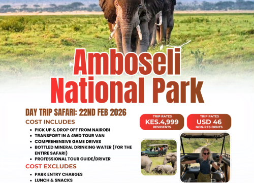 Experience the Majesty of the Wild: A Day Trip to Amboseli with Pomper Adventures