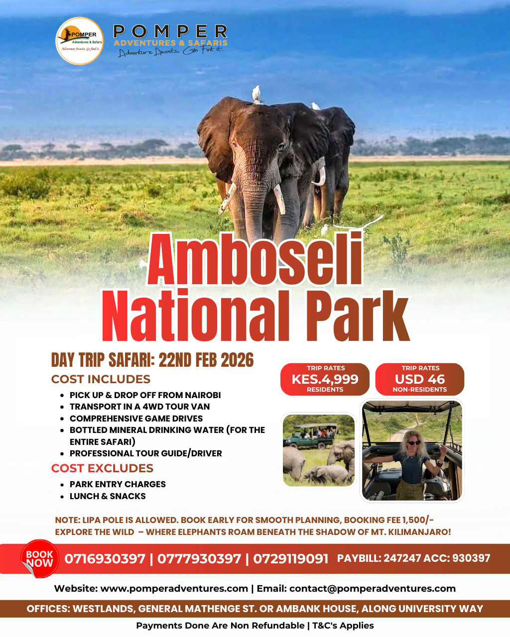 Experience the Majesty of the Wild: A Day Trip to Amboseli with Pomper Adventures