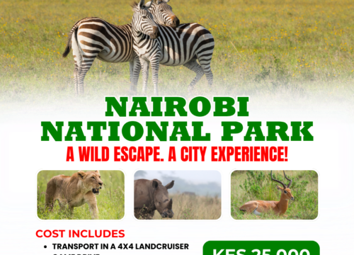 Nairobi National Park Safari | A Wild Escape, A City Experience | Pomper Adventures