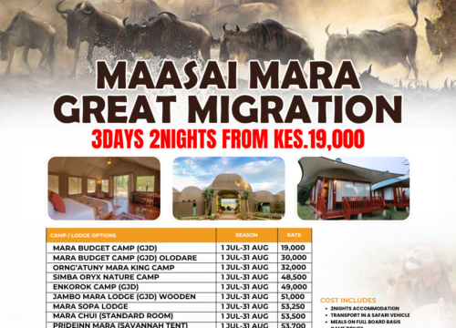 Maasai Mara Great Migration Safari | 3 Days, 2 Nights | Pomper Adventures