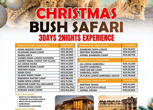 Christmas Bush Safari 2026 | Experience the Magic of the Wild | Pomper Adventures