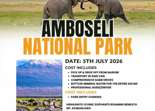 Discover Amboseli National Park | Iconic Views and Wildlife Adventures | Pomper Adventures