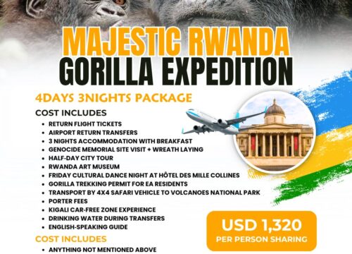 Majestic Rwanda Gorilla Expedition | 4-Day, 3-Night Immersive Wildlife Journey | Pomper Adventures