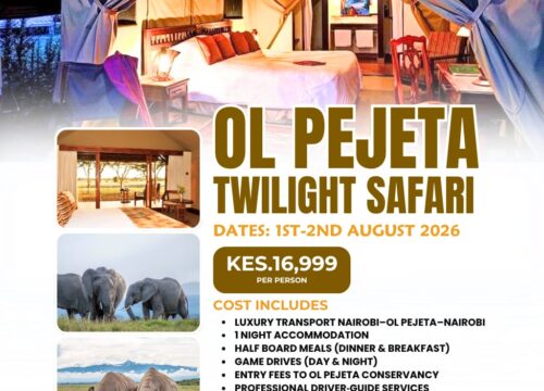 Experience the Ultimate Ol Pejeta Twilight Safari | 1st to 2nd August 2026 | Pomper Adventures